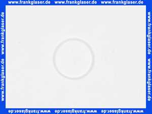 97536000 Hans Grohe Gleitring