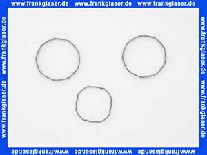 97599000 Hans Grohe Gleitring Spültischmischer Allegra