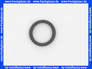 97606000 Hans Grohe Formdichtung für Kopfbrause