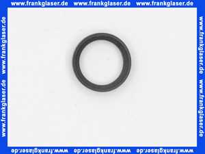 97606000 Hans Grohe Formdichtung für Kopfbrause