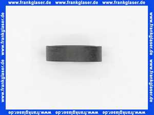 97606000 Hans Grohe Formdichtung für Kopfbrause