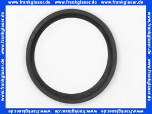 97752000 Hans Grohe Dichtring DN20