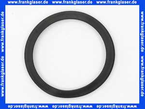 97752000 Hans Grohe Dichtring DN20
