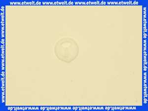 97784 Hans Grohe Scheibe zu Arco