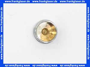 97981000 Hans Grohe Zugknopf