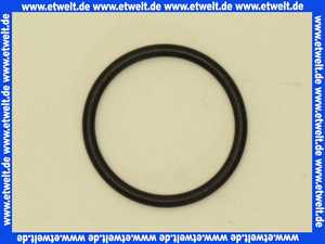 98051000 Hans Grohe O-Ring 32x3