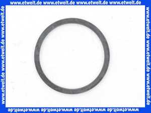 98166000 Hans Grohe Dichtung