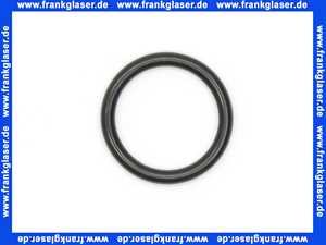 98182000 Hans Grohe O-Ring 21x3mm
