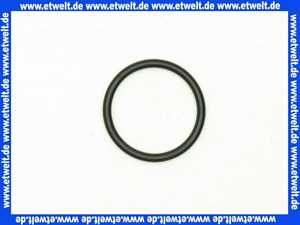 98371000 Hans Grohe O-Ring 29x3mm