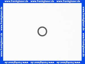 98387000 Hans Grohe O-Ring Dichtung 17x2,5mm