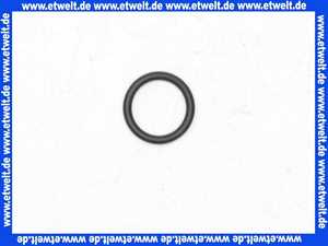 98427000 Hansgrohe O-Ring Dichtung 29x2,5mm