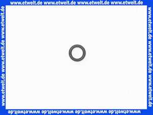 59905101 Hansa O-Ring Dichtung