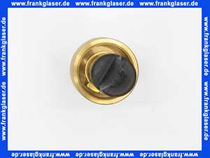 59911051 Hansa Umstellküken Umstellung