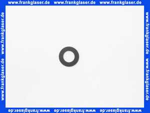 Hansa Dichtungsring 59912304 d 21 x d 12 x 2