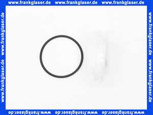 59913096 Hansa Gleitscheibe komplett