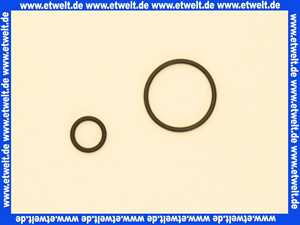 59913320 Hansa O-Ring Set