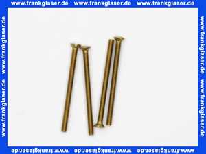 59913698 Hansa Senkschraubenset M 4 x 55