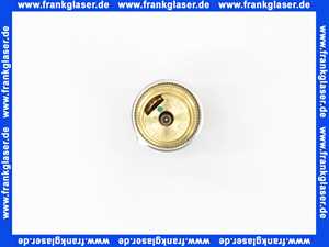 79900989 Hansa Temperaturregeleinheit