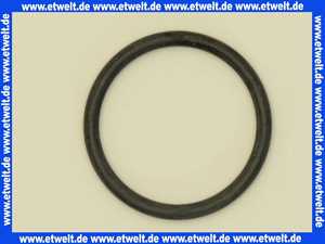 905053 Hansa O-Ring d=25,00mm x d=2,50