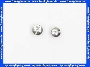 96069 HansGrohe Linsensenkschraube