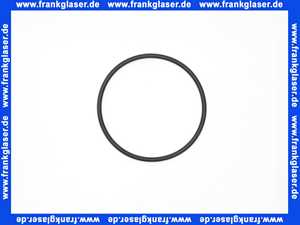 0900747 Honeywell O-Ring Dichtung Dichtring (1Stück)