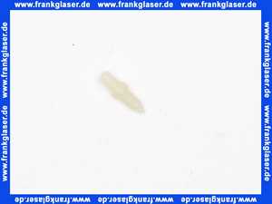 1120381 Judo Grundstift