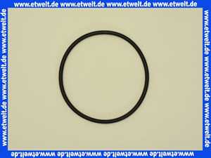 1607112 Judo O-Ring 113,67 x 5,33