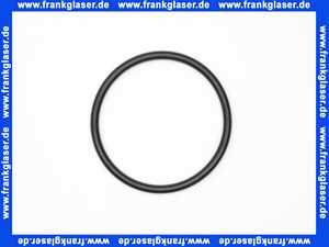 JP16325 Jung Runddichtring 86x6