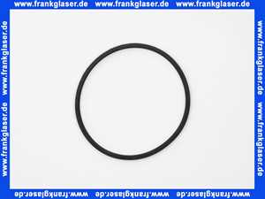 JP47004 Jung Lippendichtung