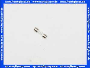 19045225450 Junkers Sicherung T3,15A 1 Stück