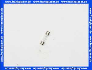 19045225450 Junkers Sicherung T3,15A 1 Stück