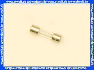 19045227400 Junkers Sicherung T1,6A 1 Stück