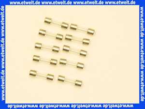 19045227400 Junkers Sicherung T1,6A (10x)