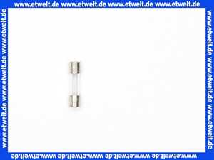 19045227450 Junkers Sicherung T3,15A (1 Stück)