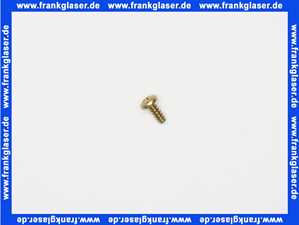 29106124240 Junkers Schraube 1 Stück