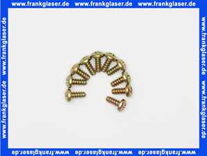 29106124240 Junkers Schraube (10x)