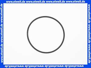 7098652 Junkers O-Ring Filter D95mm (1x) für WHK Zubehör