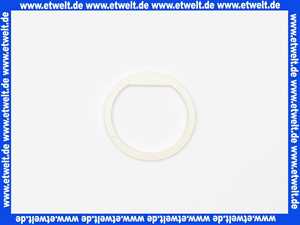 7099494 Junkers Dichtring (1 Stück)