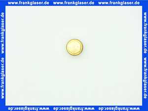 7100785 Junkers Stopfen M10x1