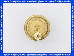 Junkers 7736700731 Entlüfter mit Schlauchverbindung