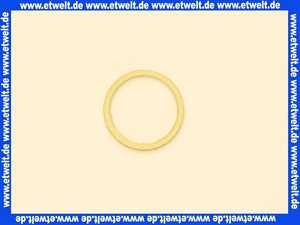 87001031250 Junkers Dichtscheibe 1 Stück