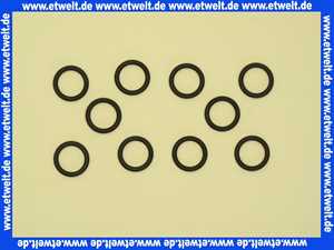 87002051280 Junkers O-Ring (10x)