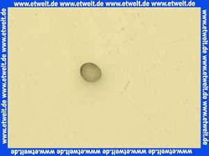 87005070660 Junkers Sieb für WR11/14/18 B.. G.. (CHILE)