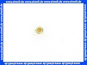 87082021130 Junkers Düse (110) 1 Stück