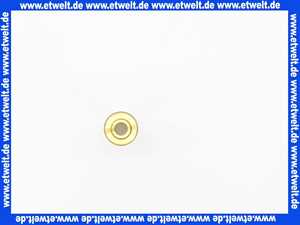 87085001620 Junkers Wählerschraube (4)