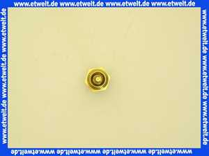 87085002530 Junkers Wählerschraube