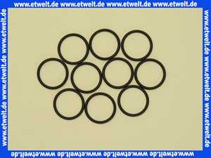87102050560 Junkers O-Ring (10x)