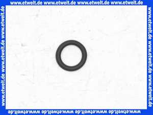 87102050760 Junkers O-Ring (1 Stück)