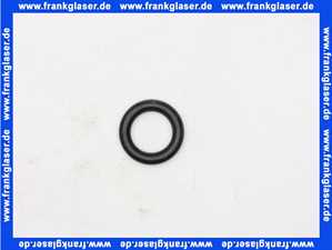 87102050900 Junkers O-Ring (1 Stück)