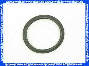 87110043210 Junkers Dichtring (1 Stück)